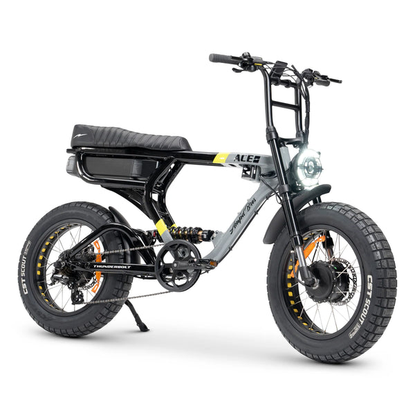 XPeak Off-Road eBike, High-Step eMTB