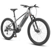 XDS E-RUPT 4.0 Hardtail
