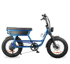 SMARTMOTION RENEGADE