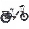Override Whipper Fat MId Drive Electric Trike TRADE IN NARRABEEN -SOLD