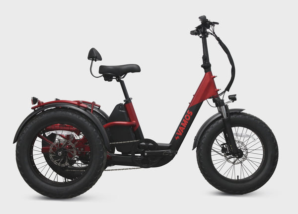 VAMOS PAPA GRANDE PRO 2024 TRIKE